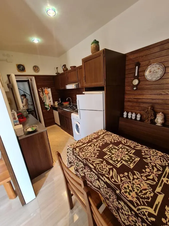 Butterfly Guest House Venice Italy