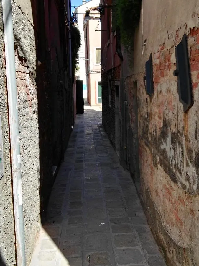 Butterfly Guest House Venice Italy